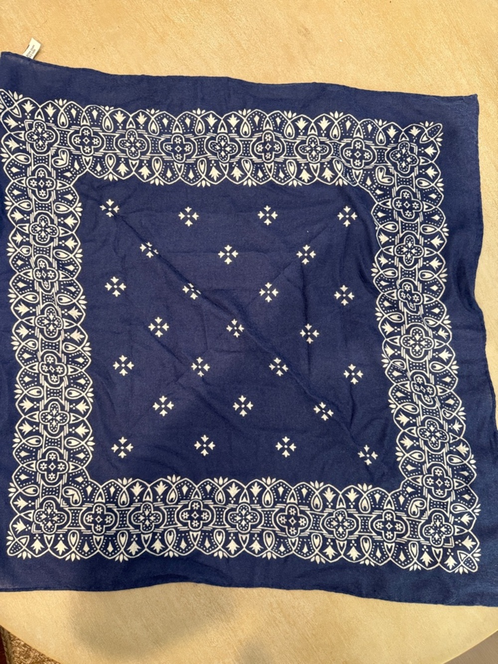 Cashmere Navy Bandana Print Scarf - Picture 4 of 4